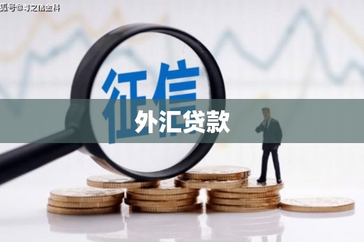 恒山外汇贷款