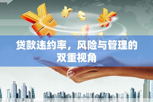 恒山贷款违约率，风险与管理的双重视角