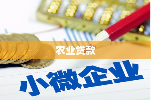 恒山农业贷款