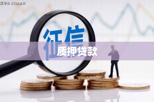 恒山质押贷款
