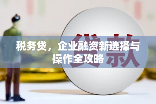 恒山税务贷，企业融资新选择与操作全攻略