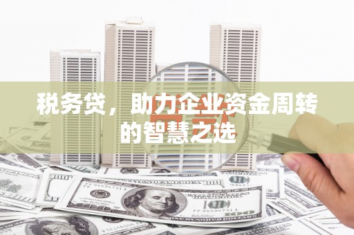 恒山税务贷，助力企业资金周转的智慧之选