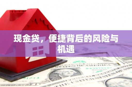 恒山现金贷，便捷背后的风险与机遇