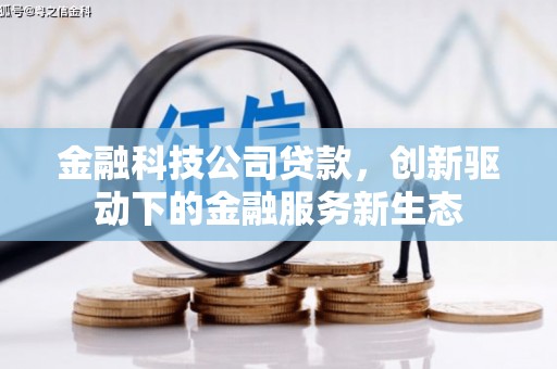 恒山金融科技公司贷款，创新驱动下的金融服务新生态