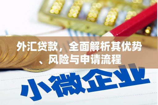 恒山外汇贷款，全面解析其优势、风险与申请流程