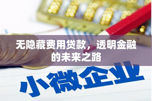 恒山无隐藏费用贷款，透明金融的未来之路