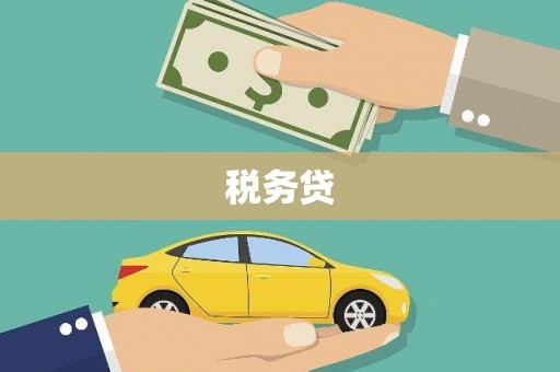 恒山税务贷