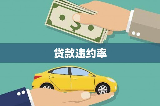 恒山贷款违约率