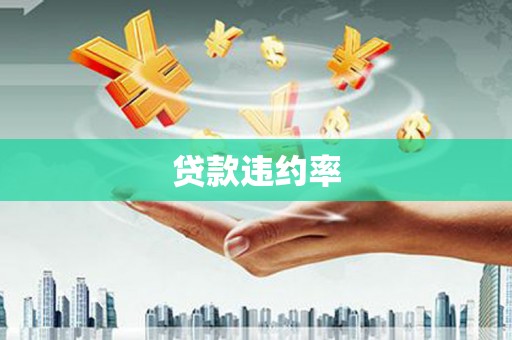 恒山贷款违约率