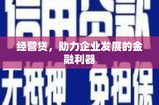 恒山经营贷，助力企业发展的金融利器