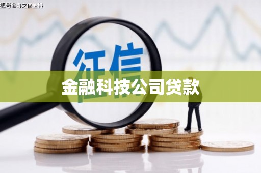 恒山金融科技公司贷款