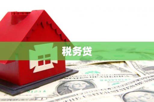 恒山税务贷