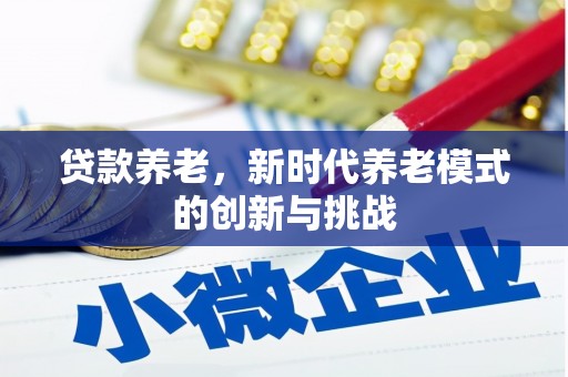 恒山贷款养老，新时代养老模式的创新与挑战