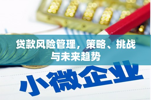恒山贷款风险管理，策略、挑战与未来趋势