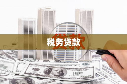 恒山税务贷款