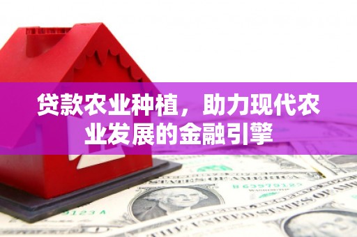 恒山贷款农业种植，助力现代农业发展的金融引擎