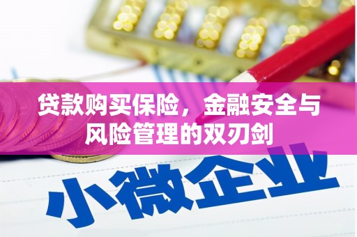 恒山贷款购买保险，金融安全与风险管理的双刃剑