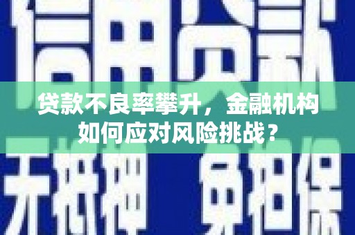 恒山贷款不良率攀升，金融机构如何应对风险挑战？