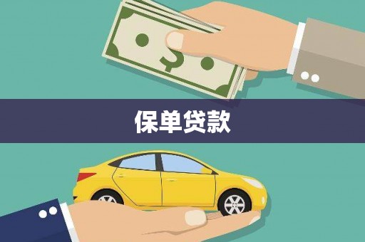 恒山保单贷款