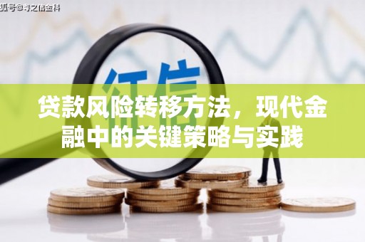 恒山贷款风险转移方法，现代金融中的关键策略与实践