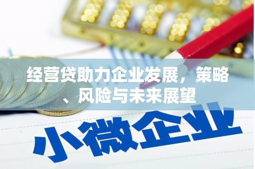 恒山经营贷助力企业发展，策略、风险与未来展望