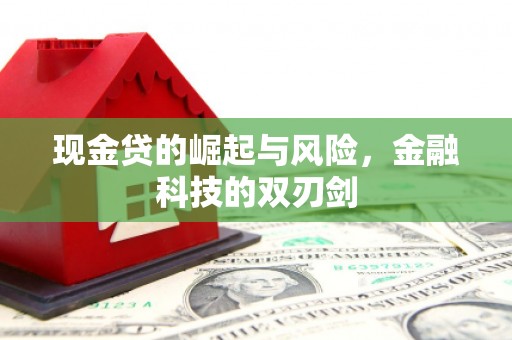 恒山现金贷的崛起与风险，金融科技的双刃剑