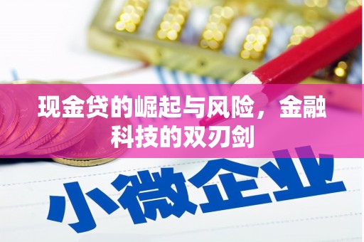 恒山现金贷的崛起与风险，金融科技的双刃剑