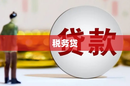 恒山税务贷