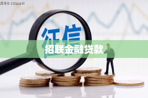 恒山招联金融贷款