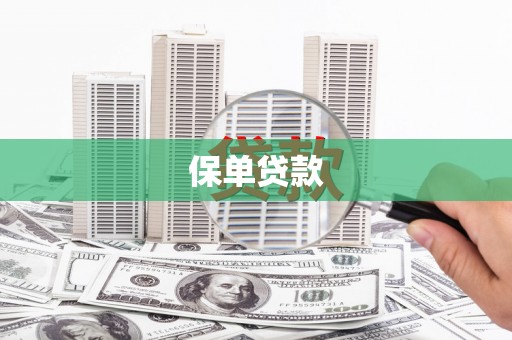 恒山保单贷款