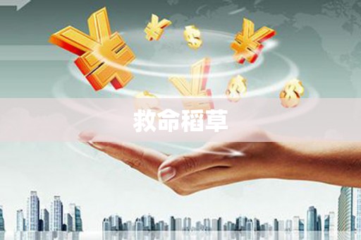 恒山救命稻草