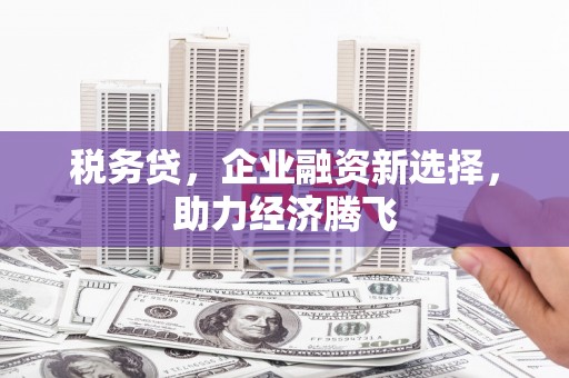恒山税务贷，企业融资新选择，助力经济腾飞