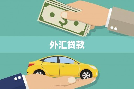 恒山外汇贷款