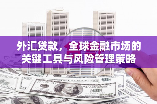 恒山外汇贷款，全球金融市场的关键工具与风险管理策略