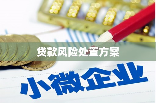 恒山贷款风险处置方案