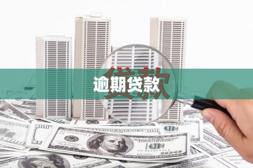 恒山逾期贷款