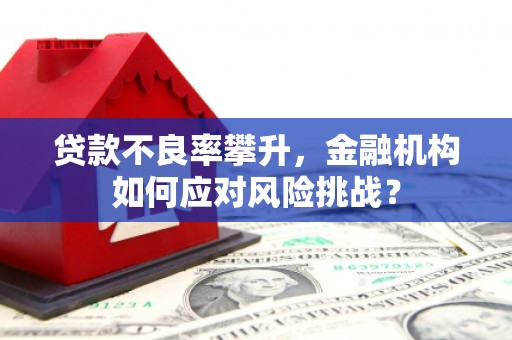 恒山贷款不良率攀升，金融机构如何应对风险挑战？