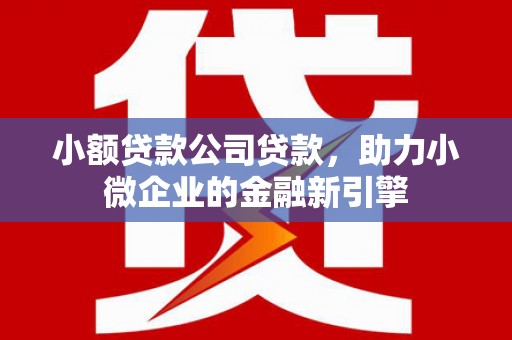 恒山小额贷款公司贷款，助力小微企业的金融新引擎
