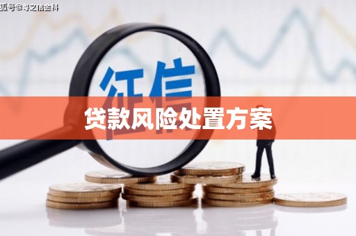 恒山贷款风险处置方案