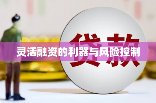 恒山灵活融资的利器与风险控制