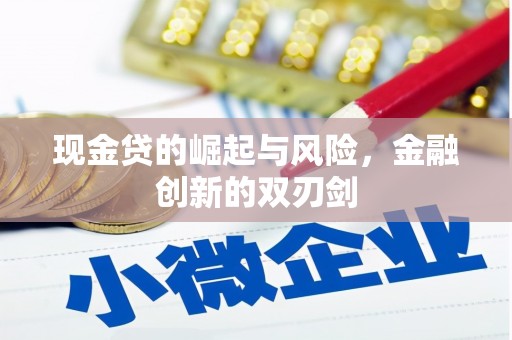 恒山现金贷的崛起与风险，金融创新的双刃剑