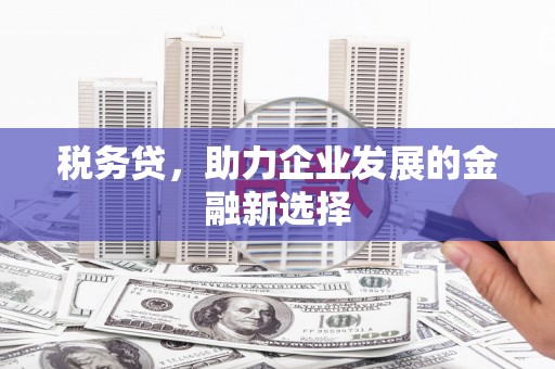 恒山税务贷，助力企业发展的金融新选择