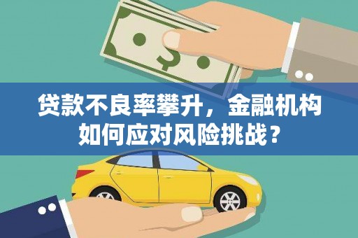 恒山贷款不良率攀升，金融机构如何应对风险挑战？