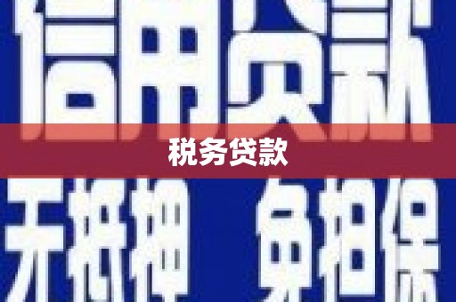 恒山税务贷款
