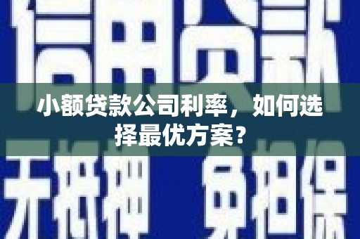 恒山小额贷款公司利率，如何选择最优方案？