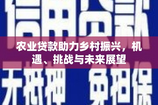 恒山农业贷款助力乡村振兴，机遇、挑战与未来展望
