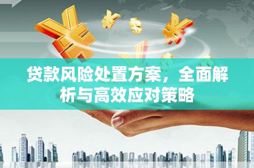 恒山贷款风险处置方案，全面解析与高效应对策略
