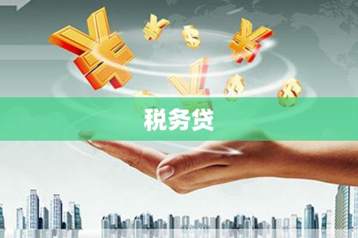 恒山税务贷