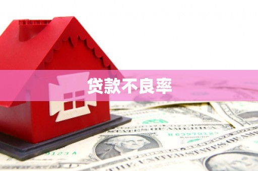 恒山贷款不良率
