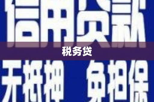 恒山税务贷